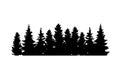 Vector forest silhouette. nature background. trees silhouettes.