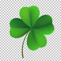 Vector four-leaf shamrock clover icon. Lucky fower-leafed symbol of Irish beer festival St Patrick`s day