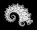 Vector Fractal Beaded Spiral Nautilus Vortex Shape Generative Op Art Element