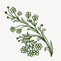 Vector fragment of floral pattern, hand-drawn branch with small flowers for design of patterns, tiles, print on baby clothes,
