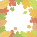 Vector frame of autumn leaves on a white background. Maple and other trees. Yellow, green, red leaves