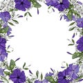 Vector frame with flowers purple petunia