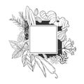 Vector frame with  spices and herbs. Royalty Free Stock Photo