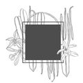 Vector frame with hand drawn vanilla. Royalty Free Stock Photo