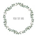 Vector frame made of eucalyptus branches on white background. Flat lay, top view