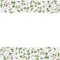 Vector frame with microgreen. Herbs - pea, sunflower, onion, corn, basil, china rose, spinach, fennel, sorrel, collard Royalty Free Stock Photo