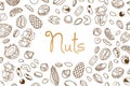 Vector frame, packaging design of nut and seed mix or snack. Walnut, peanut and sunflower seeds. Almond, pistachio