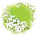 Vector frame, spring blossoming background.