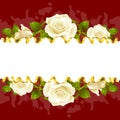 Vector frame whith white roses and golden ribbon