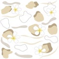 Vector Frangipani flowers with white background.