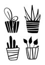 Vector free hand drawn house plants set