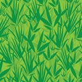 Vector Fresh Green Asian bamboo Kimono Seamless Pattern Background.