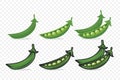 Vector Fresh Green Pea Pod Set Isolated. Green Peas Design, Cartoon Style Peas Collection for Culinary, Cooking, Healthy Royalty Free Stock Photo