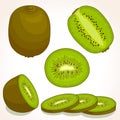 Vector fresh kiwi. Sliced, whole, half kiwifruit.