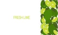 Vector fresh lime template suitable for banners, magazines, websites, restaurants and menus.