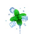 Vector fresh mint leaves and transparent ice cubes isolated. Frozen water, mint, drops and ice realistic vector