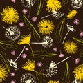 Vector fresh retro floral dandelions blowballs and daisies on dark seamless pattern background