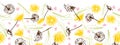 Vector fresh retro floral dandelions blowballs and daisies seamless border