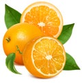 Fresh ripe oranges with leaves.