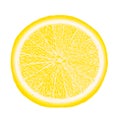 Vector fresh ripe slice of lemon on white. Healthy food logo