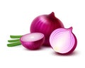 Vector Fresh Whole and Sliced Red Onion Bulbs with Chopped Green Onions Close up on White Background