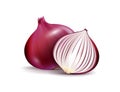 Vector Fresh Whole and Sliced Red Onion Bulbs Close up on White Background Royalty Free Stock Photo