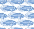 Vector freshwater fish endless pattern, nature and marine theme Royalty Free Stock Photo