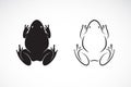 Vector of frogs design on white background. Amphibian. Animal. Easy editable layered vector illustration