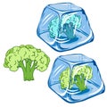 Vector Frozen broccoli in ice cube on white background EPS 8.