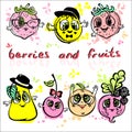 Vector fruit berries drawn in the cartoon style