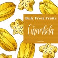 Vector fruit element of carambola. Hand drawn icon with lettering. Food illustration for cafe, market, menu design