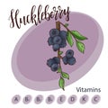 Vector fruit element of huckleberry. Hand drawn icon with lettering. Food illustration for cafe, market, menu design.