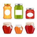 Vector realistic fruit jam jar icon set Royalty Free Stock Photo