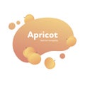 Vector fruit modern fluid banner. Colorful gradient ripe yellow apricot on splash shape isolated on white background. Design