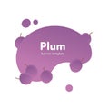 Vector fruit modern fluid banner. Colorful gradient sweet plum on purple splash shape isolated on white background. Design