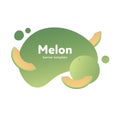 Vector fruit modern fluid banner. Colorful organic green melon on splash shape frame isolated on white background. Design