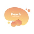 Vector fruit modern fluid banner. Colorful yellow peach on splash orange shape frame isolated on white background. Design Royalty Free Stock Photo