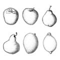 Vintage Fruits set. Hand draw sketch. Royalty Free Stock Photo