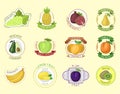 Vector fruits badges.