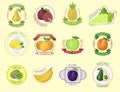 Vector fruits badges.