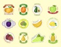 Vector fruits badges.