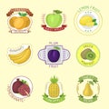 Vector fruits badges.