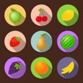 Vector fruits flat icon set Royalty Free Stock Photo