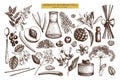 Vector fruits and flowers collection. Hand drawn outlines. Vintage perfumery and cosmetics ingredients set. Aromatic and medicinal