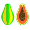 Vector fruits illustration. Detailed icon of papaya, whole and half, over white background.