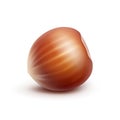 Vector Full Unpeeled Hazelnut Close up