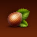 Vector Full Unpeeled Hazelnut with Leaves