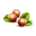 Vector Full Unpeeled Hazelnuts with Leaves
