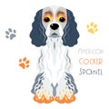 Vector funny American Cocker Spaniel dog sitting