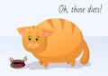 Vector funny animal. Fat cute cat on a diet. Postcard with a comic phrase. Sad cat with an empty plate of food. Isolated object on